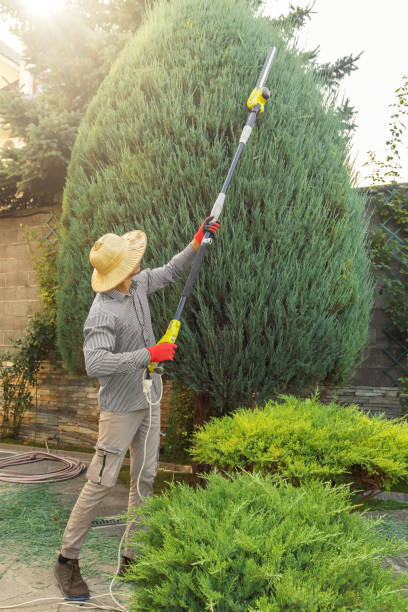 Best Artificial Turf Installation  in Hinckley, MN